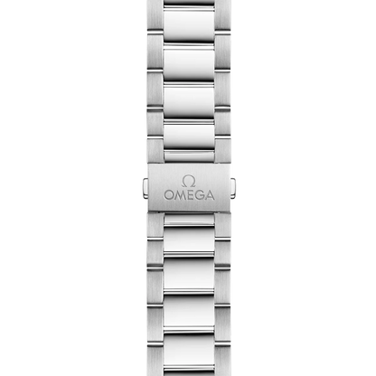 Seamaster Aqua Terra 41 mm Black Dial