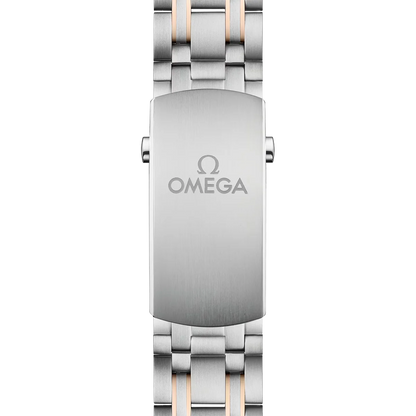 Seamaster Automatic Dial 210.20.42