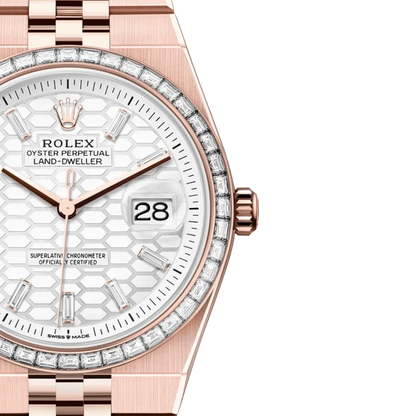 Land-Dweller Oyster 40mm Everosegold & Diamonds Intense White Honeycomb Motif Dial  127385TBR-0003